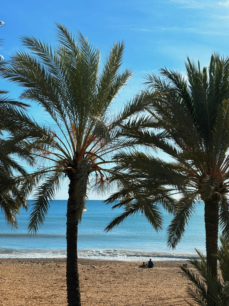 Palmeras y mar en la playa de Santa Pola, sede del retiro de yoga y pintura